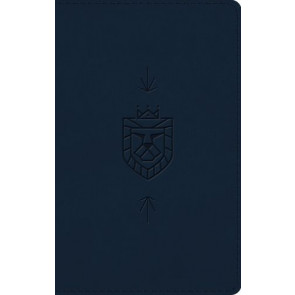 ESV Kid's Bible, Thinline (TruTone, Lion of Judah Design) - Imitation Leather Multicolor With ribbon marker(s)