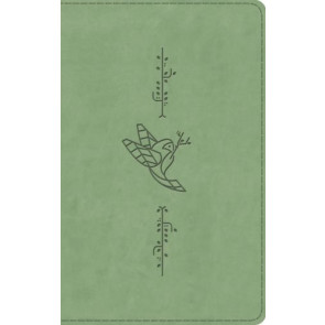 ESV Kid's Bible, Thinline (TruTone, Bird of the Air Design) - Imitation Leather Multicolor With ribbon marker(s)