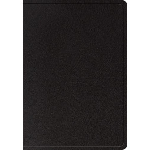 ESV Super Giant Print Bible (Genuine Leather, Black) - Genuine Leather With ribbon marker(s)