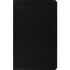 ESV Thinline Bible (Bonded Leather, Black) - Bonded Leather With ribbon marker(s)