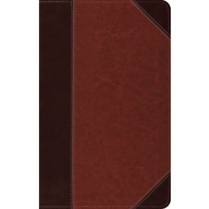 ESV Thinline Bible (TruTone, Brown/Cordovan, Portfolio Design) - Imitation Leather Multicolor With ribbon marker(s)