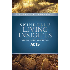 Insights on Acts - Hardcover