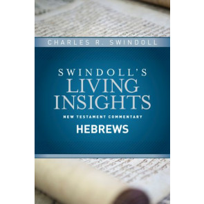 Insights on Hebrews - Hardcover