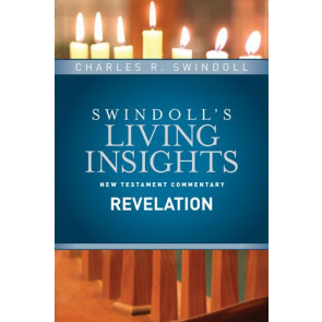 Insights on Revelation - Hardcover