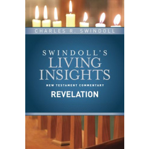 Insights on Revelation - Hardcover