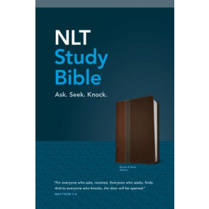 NLT Study Bible, TuTone (LeatherLike, Brown/Slate, Red Letter) - LeatherLike Brown/Slate With ribbon marker(s)
