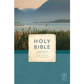 Holy Bible, Economy Outreach Edition, Large Print, NLT (Softcover) - Softcover