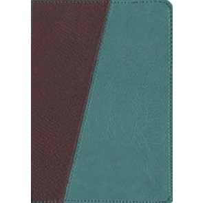 The Message Compact, Python  - Leather-Look Brown/Teal With ribbon marker(s)